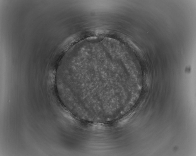 X0000094070475200711091156