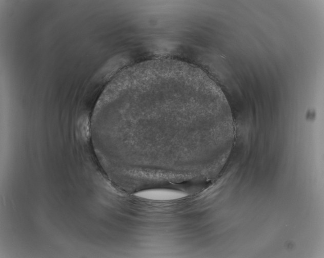 X0000094070479200711091156