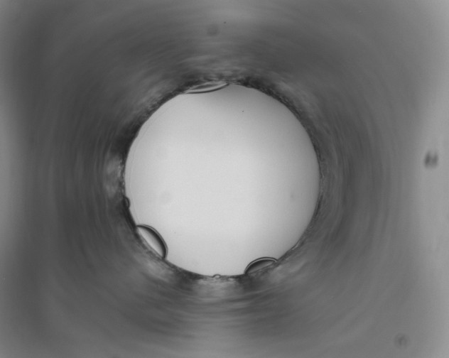 X0000094070480200711091156