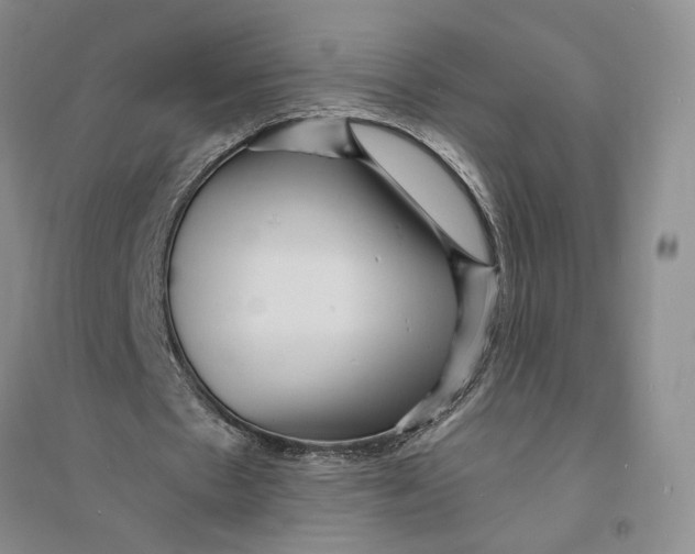 X0000094070481200711091155