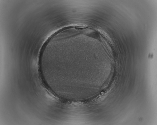 X0000094070484200711091155
