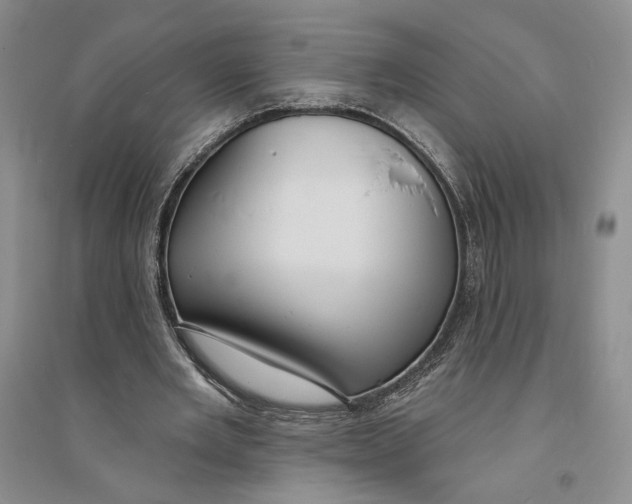 X0000094070485200711091155