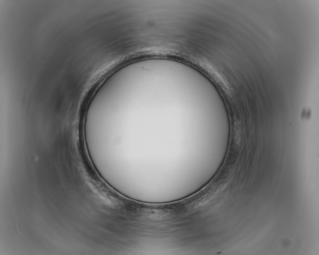 X0000094070486200711091155