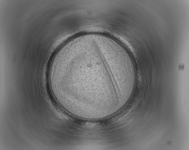 X0000094070487200711091155
