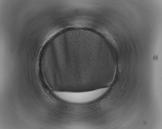X0000094070488200711091155