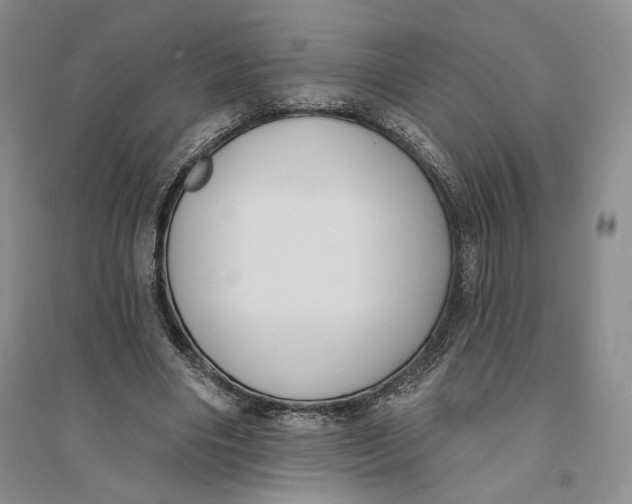 X0000094070490200711091155