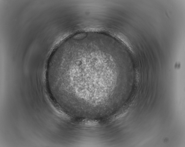 X0000094070491200711091155