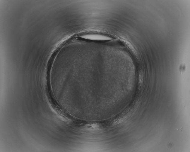 X0000094070492200711091155