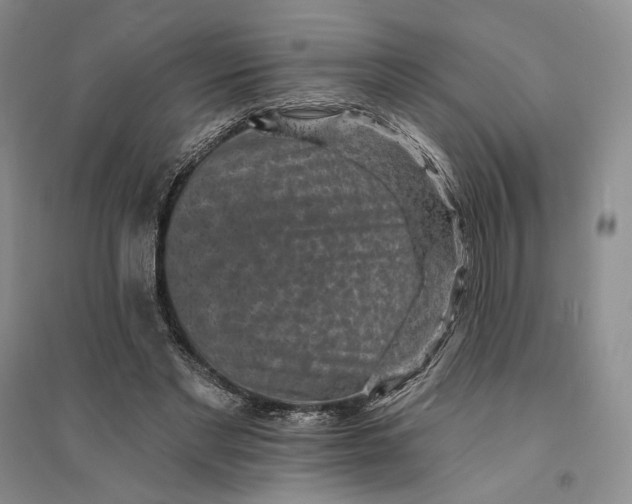 X0000094070493200711091155