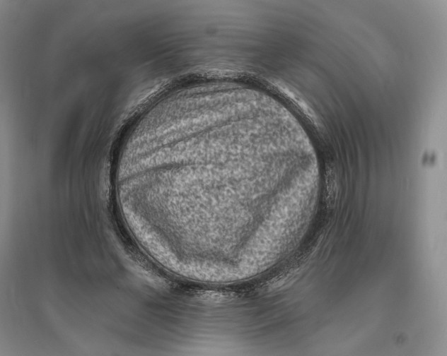 X0000094070494200711091155