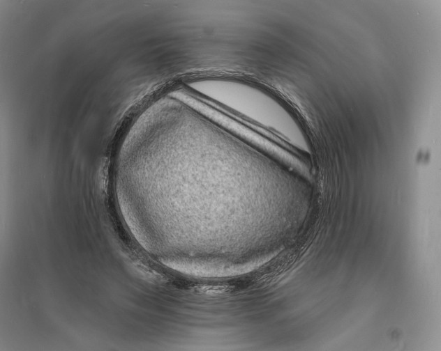 X0000094070495200711091155