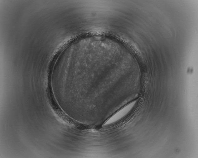 X0000094070496200711091155