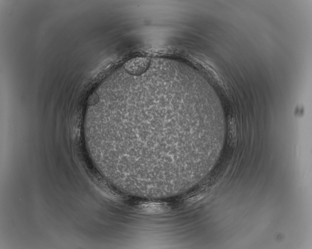 X0000094070499200711091155