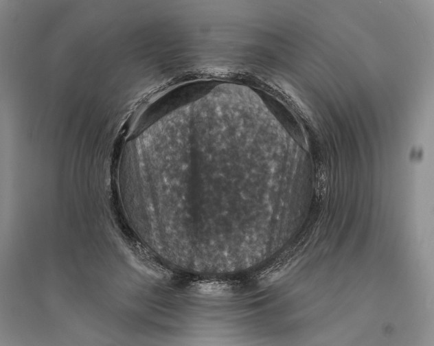 X0000094070500200711091155