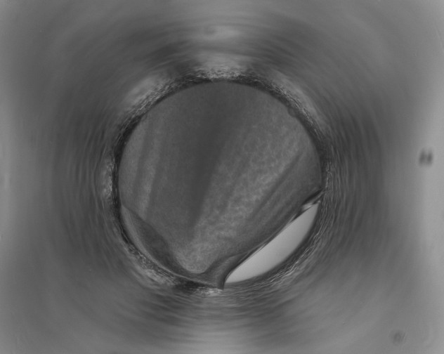 X0000094070501200711091155