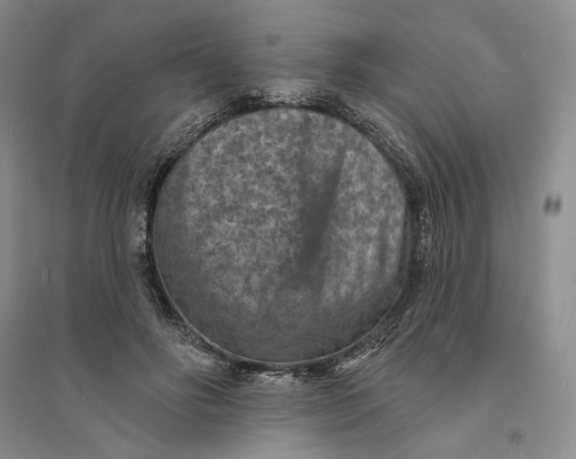 X0000094070502200711091155