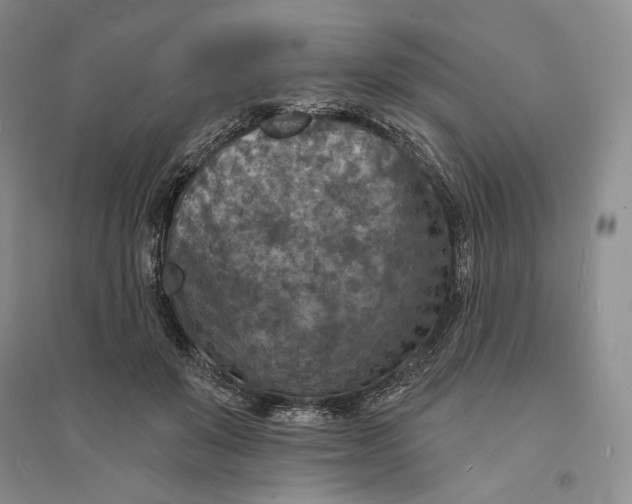 X0000094070503200711091155