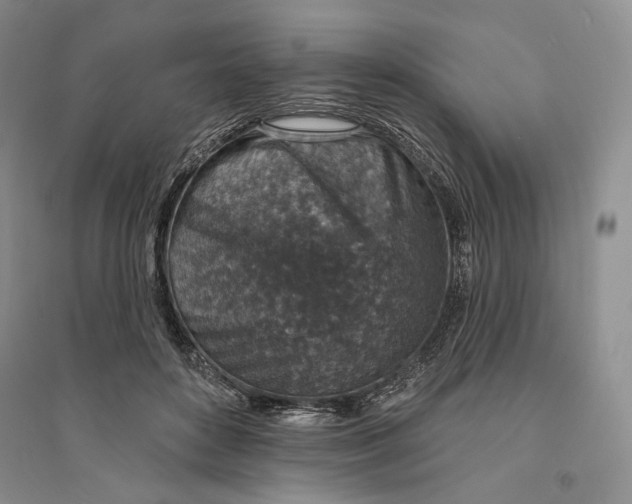 X0000094070504200711091155
