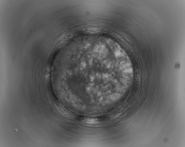 X0000094070507200711091155