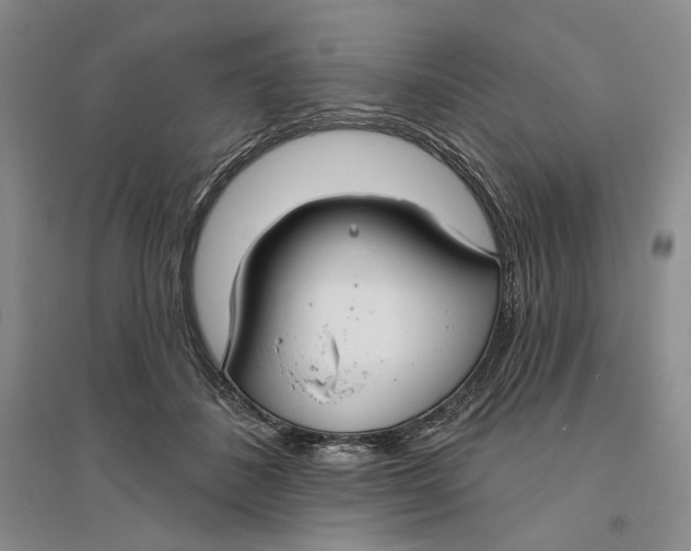X0000094070508200711091155