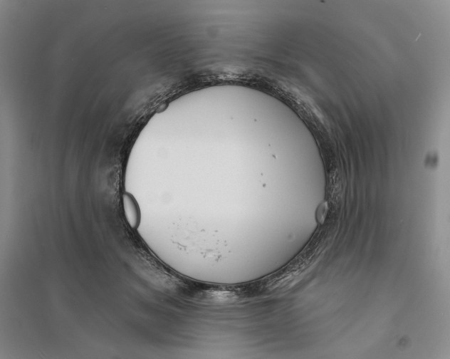 X0000094070509200711091155