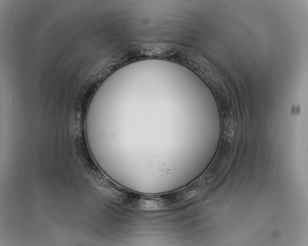 X0000094070510200711091155