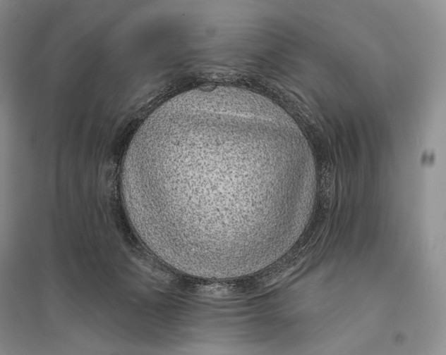X0000094070511200711091155