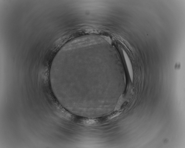 X0000094070513200711091155