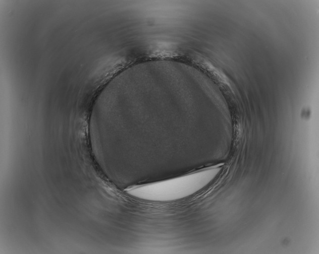 X0000094070517200711091155