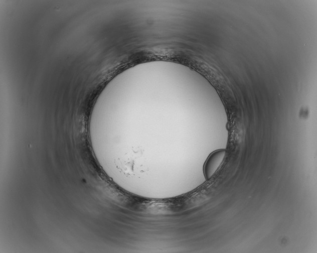 X0000094070518200711091155