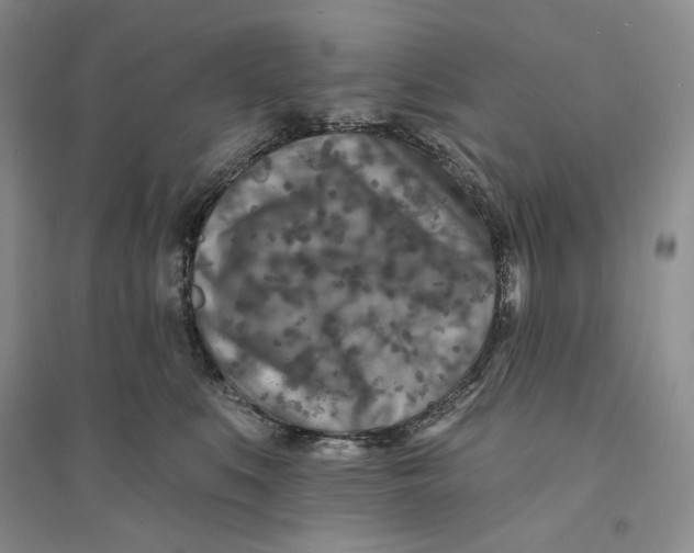X0000094070519200711091155