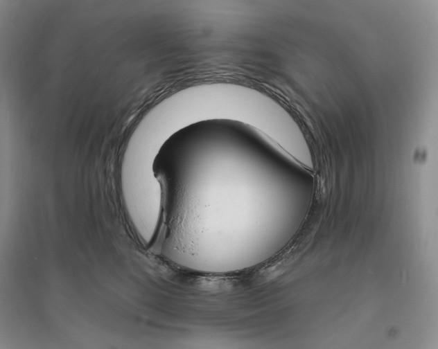 X0000094070520200711091155