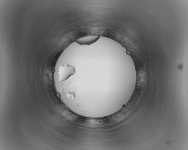 X0000094070522200711091155