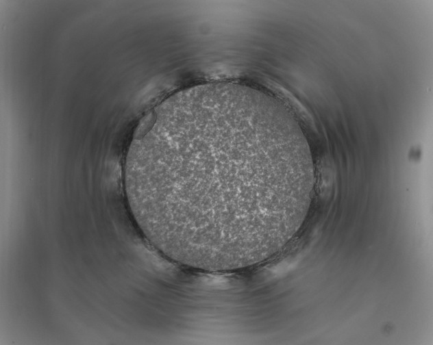 X0000094070523200711091155