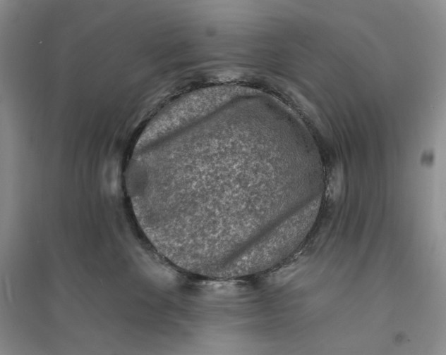 X0000094070524200711091155