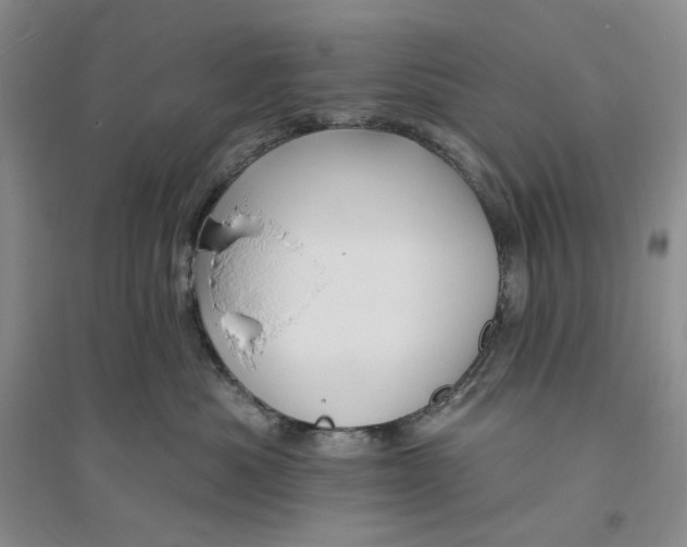 X0000094070525200711091155