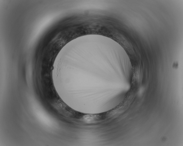 X0000094070526200711091155