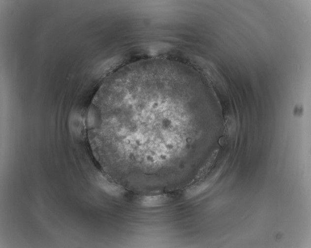 X0000094070527200711091155