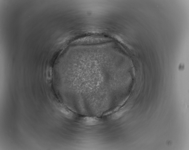 X0000094070528200711091155