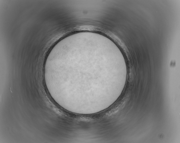 X0000094070529200711091154