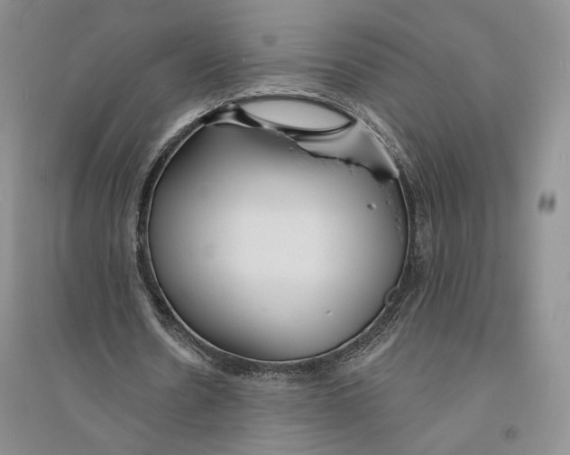 X0000094070530200711091154