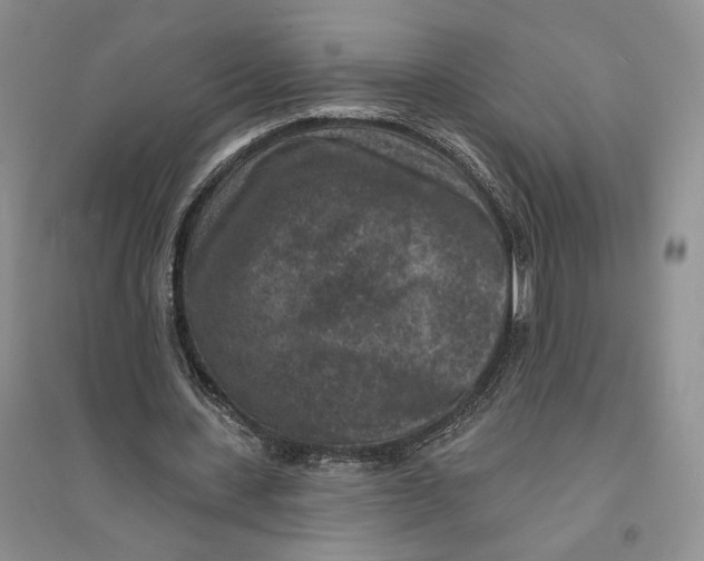 X0000094070531200711091154