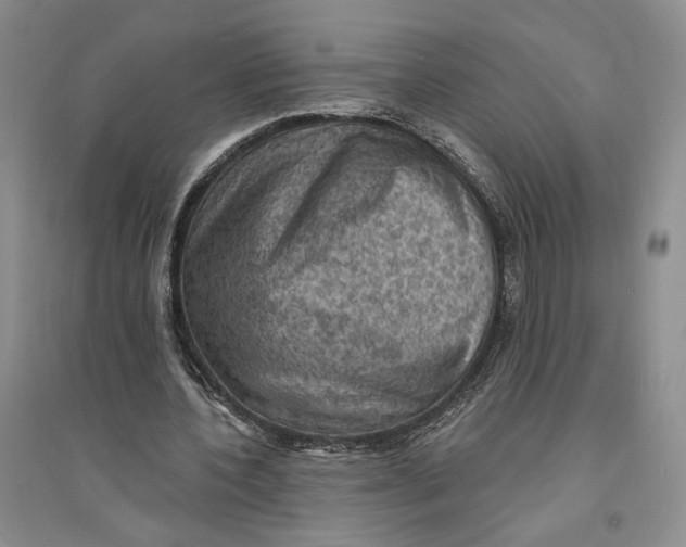 X0000094070532200711091154