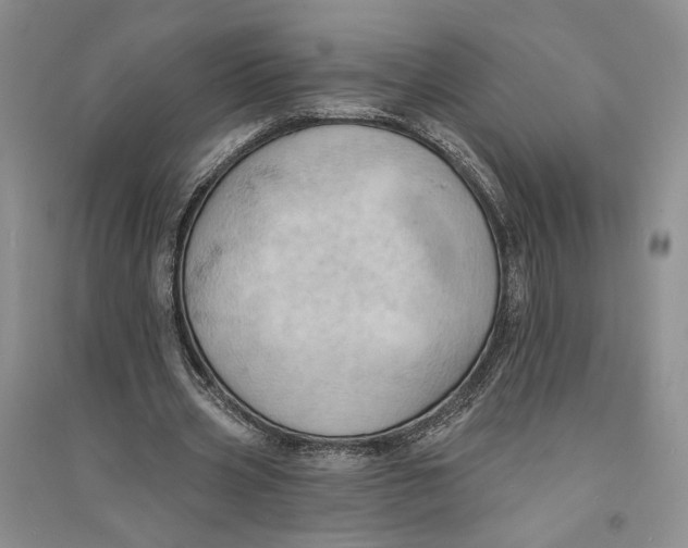 X0000094070533200711091154