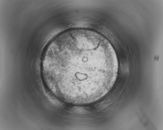 X0000094070534200711091154