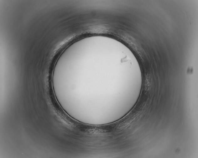 X0000094070535200711091154