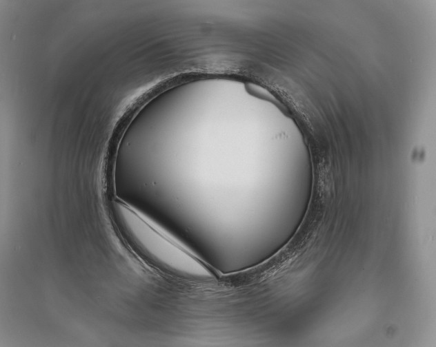 X0000094070536200711091154