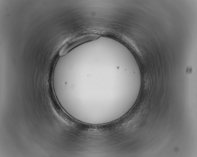 X0000094070538200711091154