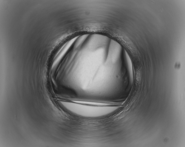 X0000094070540200711091154