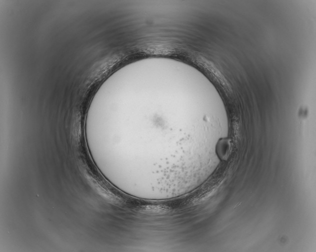 X0000094070541200711091154